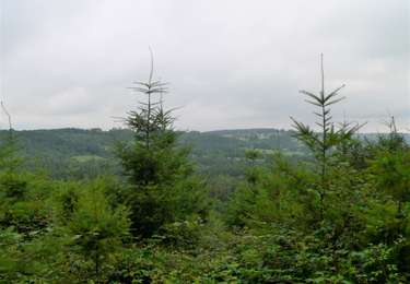 Tocht Stappen Sprimont - 20210802-Autour de Florzé - Photo
