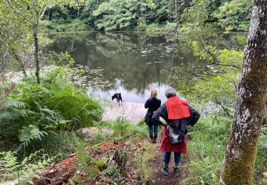 Tocht Stappen Lugos - Bran Lugos  - Photo