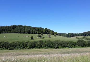 Percorso Marcia Saint-Aignan-sur-Ry - 20260613-St Aignan sur Ry - Photo
