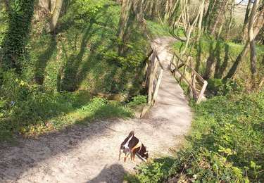 Randonnée Marche Saint-Étienne-au-Mont - Ecault avec Rebel 12 Avril 2026 - Photo