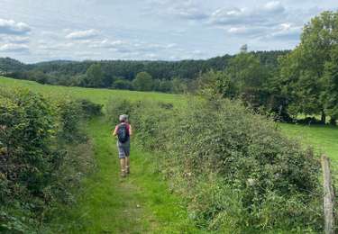 Tocht Stappen Jalhay - Royompré - Photo