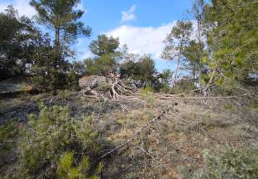Tour Wandern Tourouzelle - tourouzelles - Photo