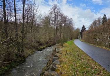 Trail Walking Malmedy - 2025-08-06_20h01m31_Cirkwi-Malmedy_26_-_Les_hêtres_entrelacés - Photo