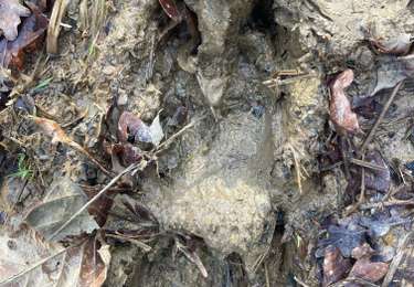 Excursión Senderismo Jatxou - Jatxou 2026/01/28 - Photo