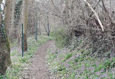 Tour Wandern Nandrin - Villers le temple  .  st jean sart  .  clemaude  - Photo