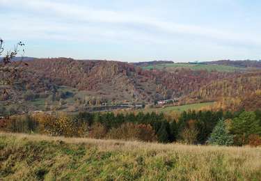 Tour Mountainbike Fléron - Randonnée des feuilles mortes - Photo