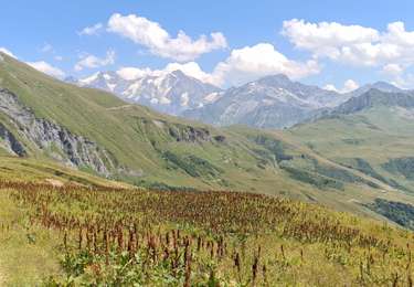 Randonnée Marche Les Contamines-Montjoie - Le Signal - vers le col Very - Photo