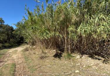 Tour Wandern Biure - Autour de  Biure nouveau parcourt - Photo