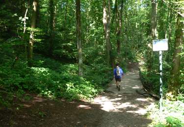 Tocht Stappen Luik - Grivegnée Beyne-Heusay Jupille Grivegnée - Photo