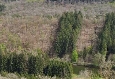 Tocht Stappen Bouillon - Rochehaut moulin de l epine - Photo