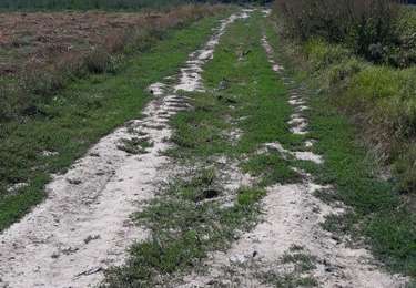 Tocht Stappen Engis - clermont-sous-huy  - Photo
