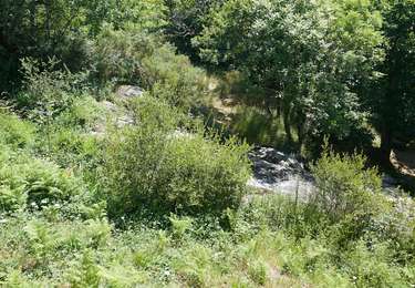 Tocht Stappen Saint-Denis - Prise d'eau d'Alzeau - Photo