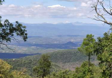 Tocht Stappen La Garde-Freinet - Route des crêtes - La Garde-Freinet - Photo