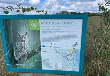 Tocht Stappen Riemst - Kanne et mont caestert - Photo