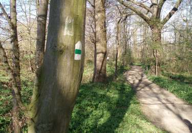 Randonnée Marche Blegny - Promenade vers les Houlpais - Photo