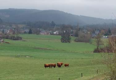 Trail Walking Rochefort - naar han - Photo