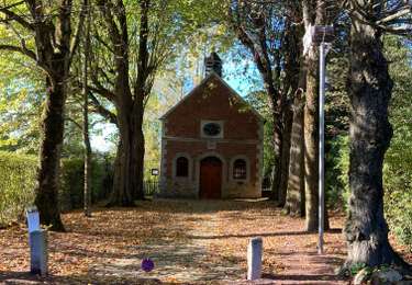 Trail Walking Thimister-Clermont - Froithier  - Photo