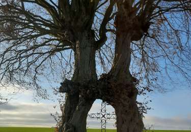 Tour Wandern Nandrin - Nandrin  - Photo