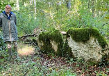 Tour Wandern Arc-en-Barrois - 52 Arc en Barrois dolmens - Photo