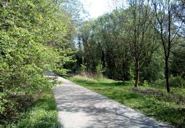 Randonnée Marche Blegny - Promenade du vendredi - Photo