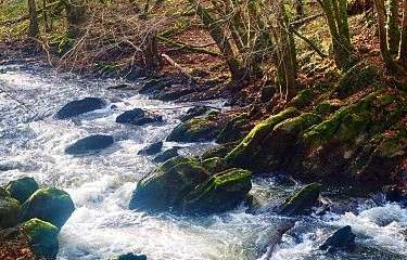 Tour Wandern Rochefort - Belvaux -  Les  Bouvreuils - Les rapides de la Lesse - Photo