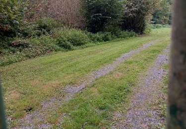 Tour Wandern Aiseau-Presles - roselies - Photo