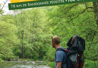 Randonnée Marche Libin - Entre Lesse et Lomme_33-T-Transinne - Photo