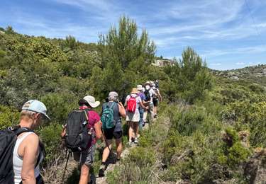 Excursión Senderismo Lambesc - PF-Lambesc - Plateau de Roqueventrène - MJ - Photo