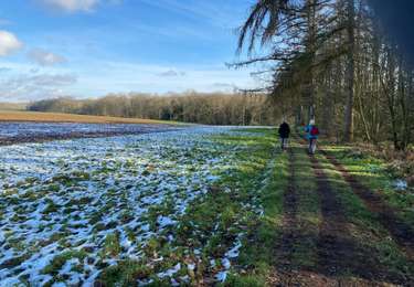 Tocht Stappen Court-Saint-Étienne -  Laroche - Heuval - Photo