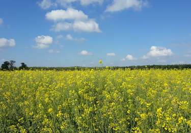 Tour Wandern La Haye-Malherbe - 20260421-la vallée cool - Photo