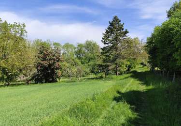 Randonnée Marche Montereau-Fault-Yonne - GR2_01 - Photo