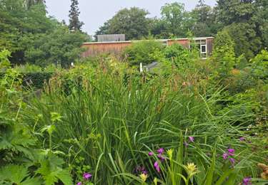Tour Wandern Auderghem - Oudergem - Rouge Cloître et Jardin Massart - Photo