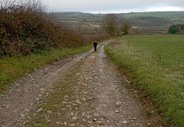 Tour Wandern Beauraing - s'est vrai - Photo