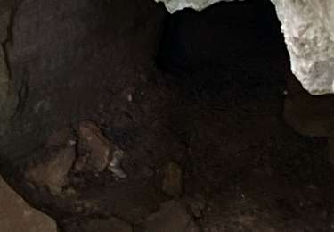 Tour Wandern Mennouveaux - 52 MENNOUVEAUX NINVILLE CUVES JUIN2026 - Photo