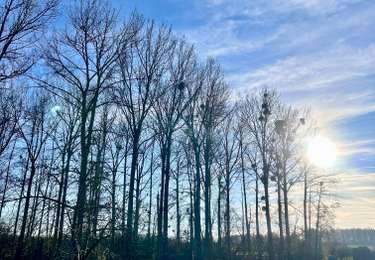 Excursión Senderismo Braives - Tracé - Photo