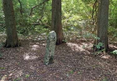 Tour Wandern Crécy-en-Ponthieu - Forêt de Crécy-en-Ponthieu - Photo