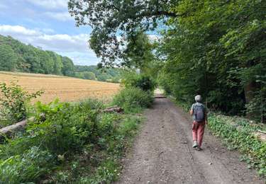 Tour Wandern Grez-Doiceau - Nethen zoetwater.  - Photo