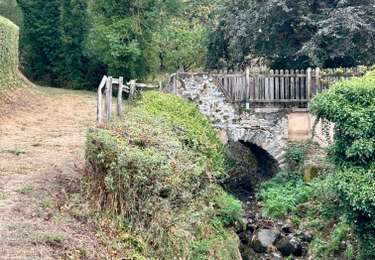 Excursión Senderismo Jullié - Julié - Le col de Sibérie - Photo