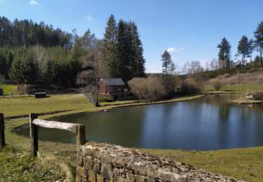 Tour Zu Fuß Paliseul - Fays-les-Veneurs : Aux moulins de Pont le Prêtre - Photo