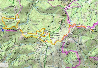 Percorso Marcia Collobrières - Sommet des Maures 606m 320m+ depuis col de Babaou - Photo