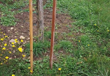 Tocht Stappen Sainte-Geneviève-des-Bois - Randonnée communale - Photo