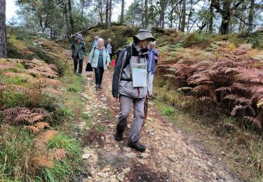 Trail Walking Fontainebleau - la faisanderie 20 octobre 2023 - Photo