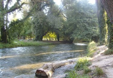 Tour Zu Fuß Scheggino - Via di Francesco - Tappa 16 Ceselli-Arrone - Photo