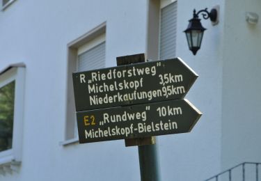 Trail On foot Söhrewald - Stellbergsee - Eschenstruth - Photo