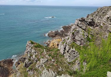 Tocht Stappen Erquy - Bretagne 2021 : Erquy - cap d'Erquy - plage du Portuais .ori - Photo