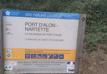 Tour Pfad Saint-Cyr-sur-Mer - Trail Saint-Cyrl - Photo