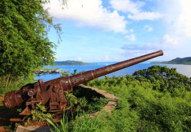 Tocht Stappen Bora-Bora - Fare Piti - 2 canons US - Photo