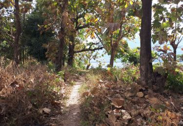 Trail Walking  - NKM Decouverte - Photo