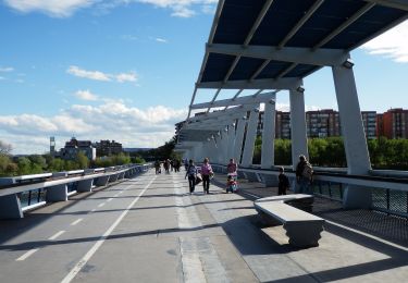 Excursión A pie Zaragoza - La margen izquierda, entre puentes - Photo