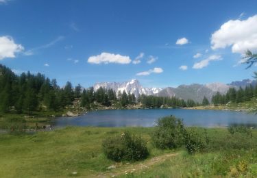 Tocht Stappen Morgex - arpy . lac d arpy . arpy 2h50 - Photo